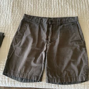 Patagonia Organic Cotton Shorts size 32